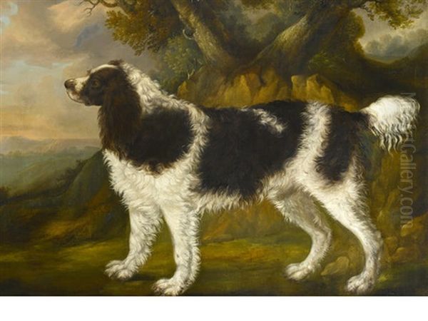 Spaniel In A Landscape Oil Painting by George Garrard