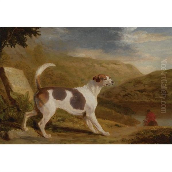 Colonel Thornton's Hound Lucifer In A Scottish Landscape Oil Painting by George Garrard