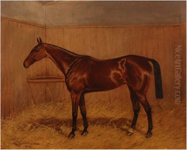 Chestnut Hunter In A Loose Box by Charles E. Gatehouse