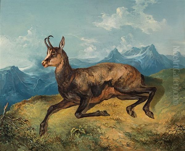 Chamois In Front Of The Backdrop Of Mountains Oil Painting by Friedrich Gauermann