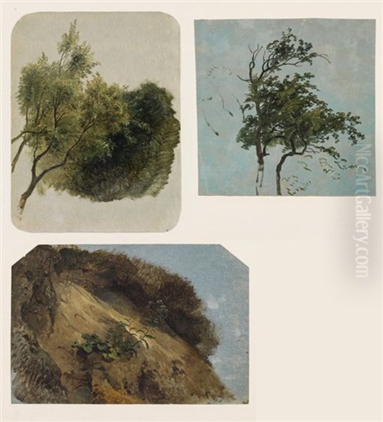 Mixed Lot 3 Studies: Studies Of A Tree, A Branch And A Rock by Friedrich Gauermann