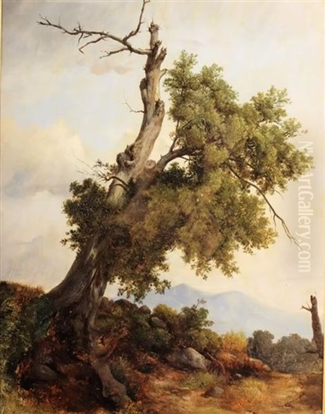 Tree Oil Painting by Friedrich Gauermann