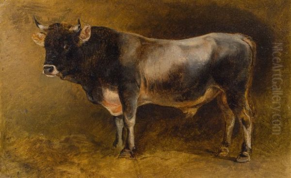 Study Of A Bull Oil Painting by Friedrich Gauermann