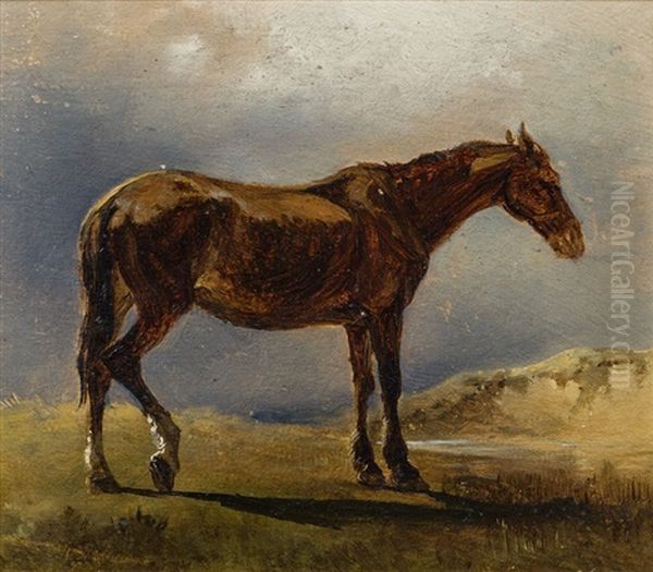 Pferd, Naturstudie Oil Painting by Friedrich Gauermann