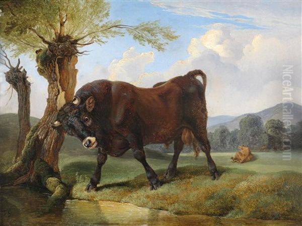 Stier Auf Der Weide by Friedrich Gauermann