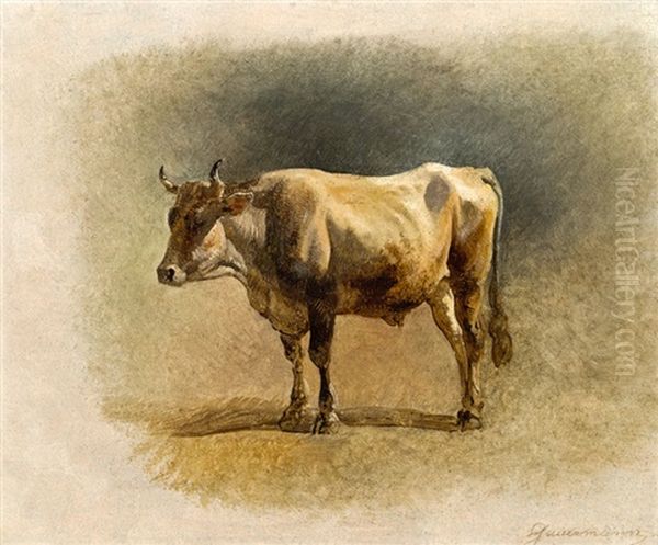 Stier Oil Painting by Friedrich Gauermann