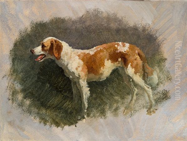 Hund Oil Painting by Friedrich Gauermann