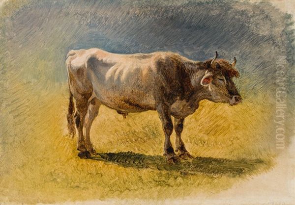 Stier Oil Painting by Friedrich Gauermann