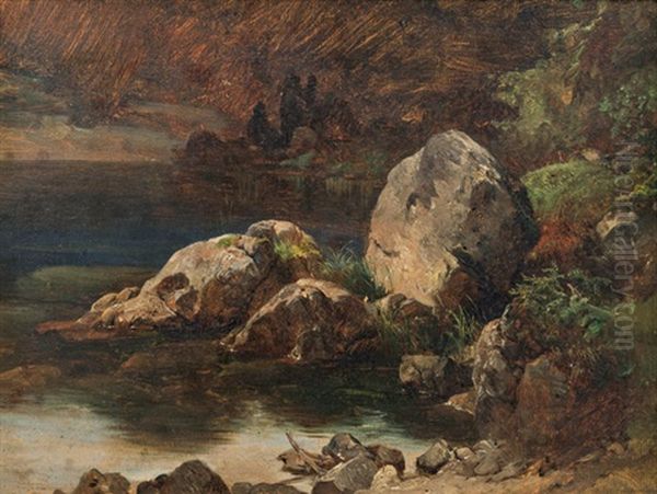 Naturstudie (felsiges Ufer) (study) Oil Painting by Friedrich Gauermann