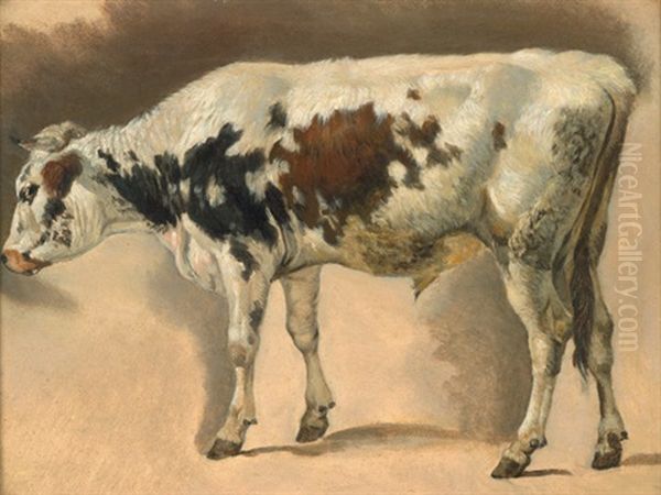 Weis-braun Gefleckter Stier Oil Painting by Friedrich Gauermann