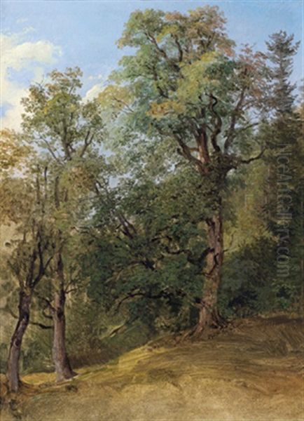 Waldstudie Oil Painting by Friedrich Gauermann