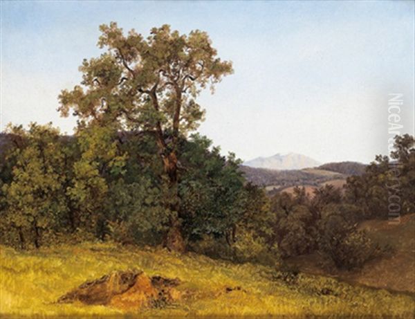 Waldlandschaft Bei Miesenbach Mit Blick Auf Den Schneeberg Oil Painting by Friedrich Gauermann