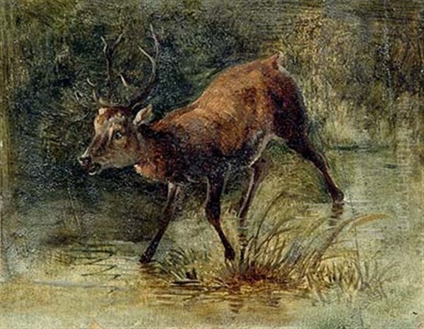 Hirsch Bei Der Tranke Oil Painting by Friedrich Gauermann