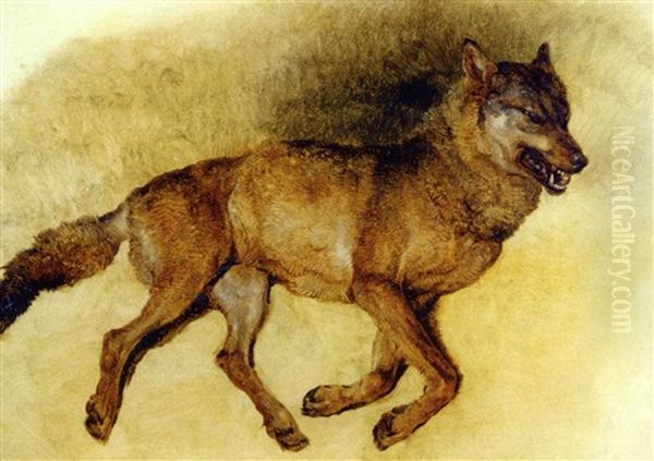 Liegender Wolf Nach Rechts Oil Painting by Friedrich Gauermann