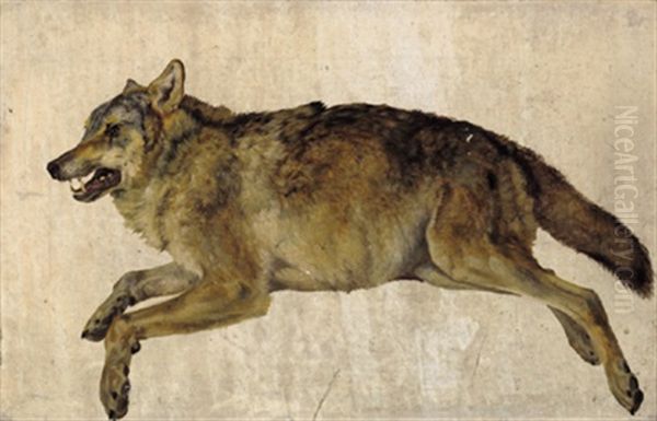 Erlegter Wolf Oil Painting by Friedrich Gauermann