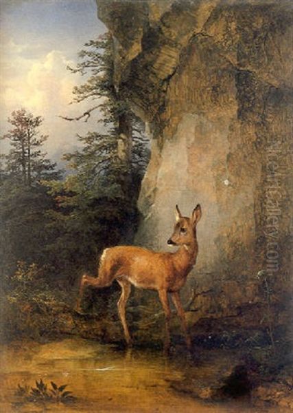 Ein Reh Bei Der Quelle Oil Painting by Friedrich Gauermann