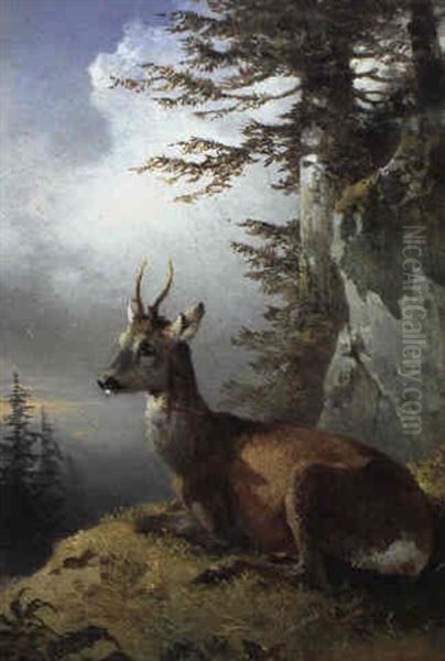 Rehbock Oil Painting by Friedrich Gauermann