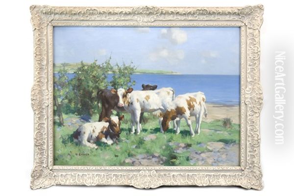 Calves In Sunshine By The Water Oil Painting by David Gauld