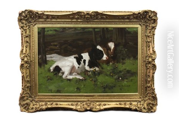 Ayrshire Calves In The Byre Oil Painting by David Gauld