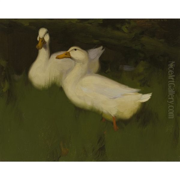 Ducks On A Bank Oil Painting by David Gauld