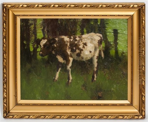 Quiet Calf Oil Painting by David Gauld