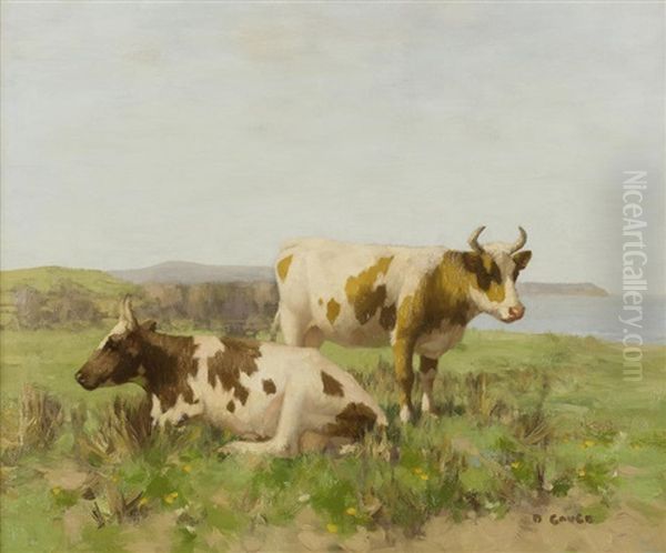 Cattle Oil Painting by David Gauld