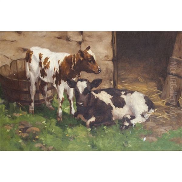 Calves Outside A Byre Oil Painting by David Gauld