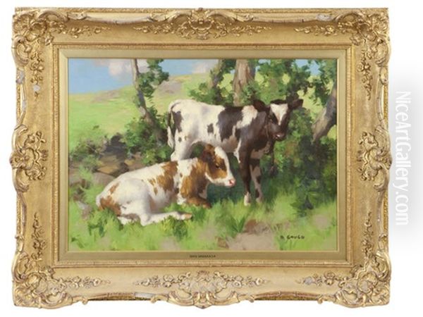 Two Calves In Shade Oil Painting by David Gauld