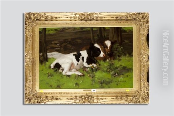 Two Calves Resting Beneath Some Trees Oil Painting by David Gauld