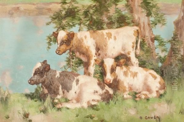 Three Calves By The Water's Edge Oil Painting by David Gauld