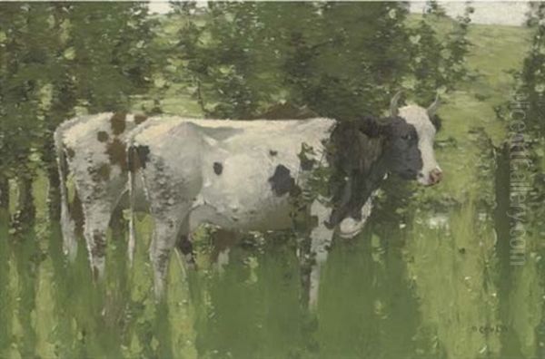 Ayrshire Cows Oil Painting by David Gauld