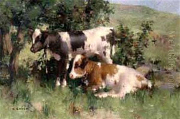 Untitled - Two Calves At Rest, Lulu And Fifi Oil Painting by David Gauld