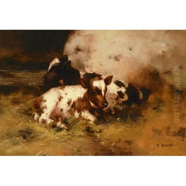 Ayrshire Calves In A Stable Oil Painting by David Gauld