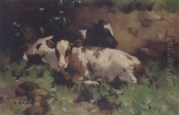 Two Calves By A Bank Oil Painting by David Gauld