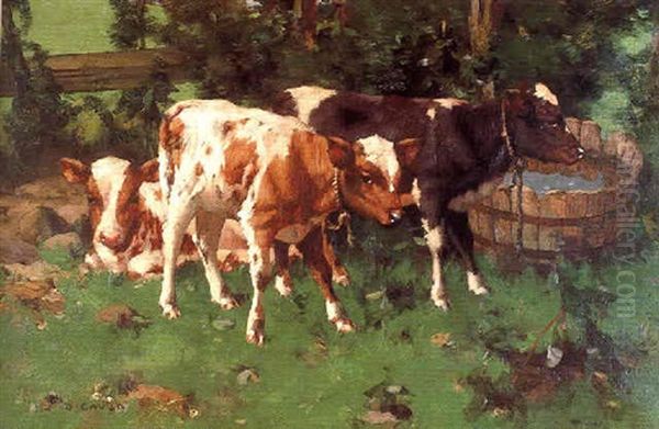 Calves By A Waterbutt Oil Painting by David Gauld