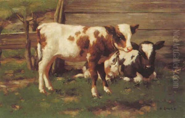 Calves Outside A Barn Oil Painting by David Gauld