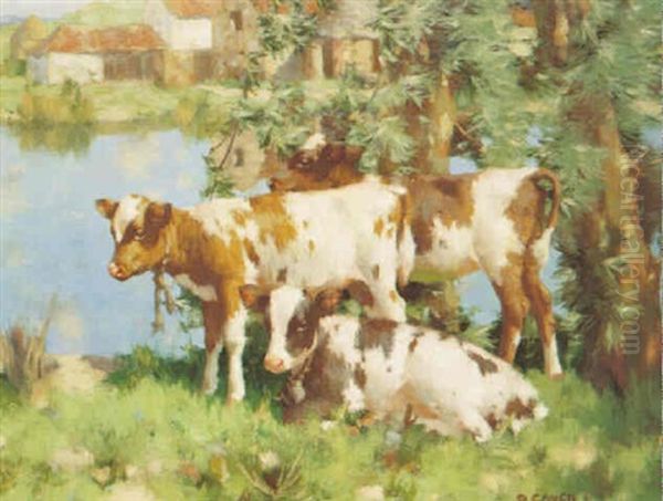 Calves By A River Oil Painting by David Gauld