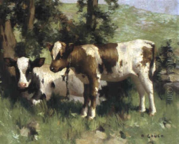 Calves In The Shade Of A Tree Oil Painting by David Gauld