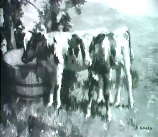 Calves By A Trough Oil Painting by David Gauld