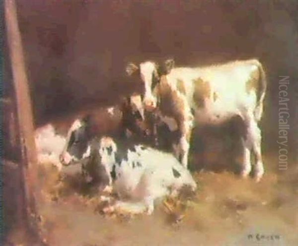 Three Ayrshire Calves In A Barn Oil Painting by David Gauld