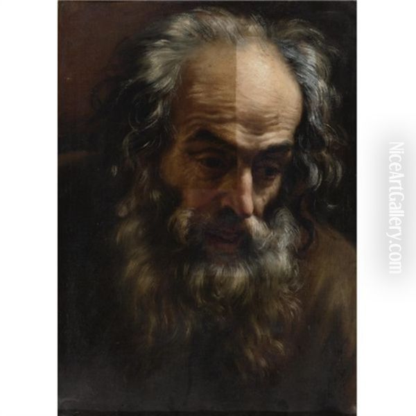 Head Of An Old Man Oil Painting by Giovanni Battista Gaulli