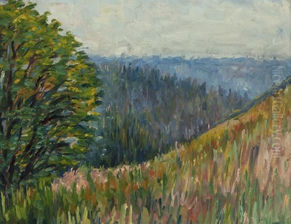 Chabot Hills Oil Painting by August Gay