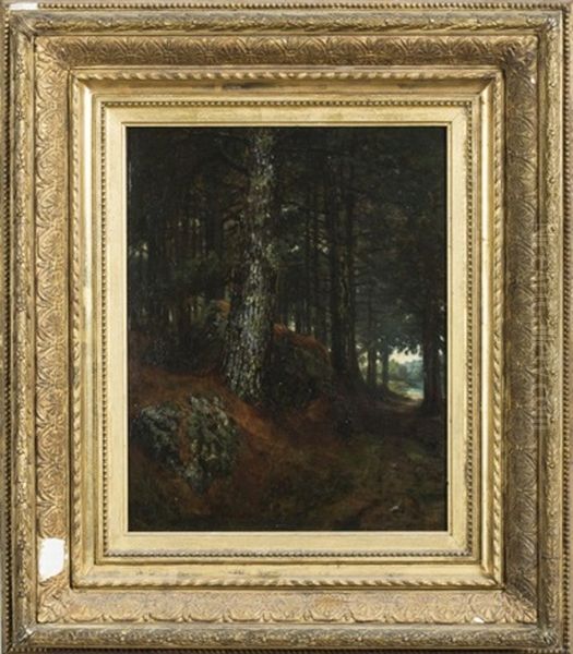 Pine Woods, New Castle, New Hampshire Oil Painting by Winckworth Allan Gay