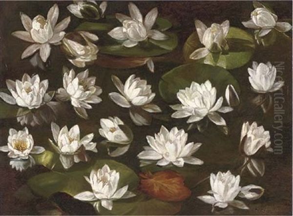 Waterlillies (+ Mixed Blooms, Verso) Oil Painting by Karl Max Gebhardt