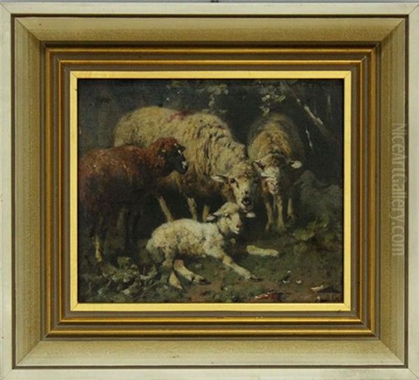 Drei Schafe Mit Liegendem Lamm Oil Painting by Otto Friedrich Gebler