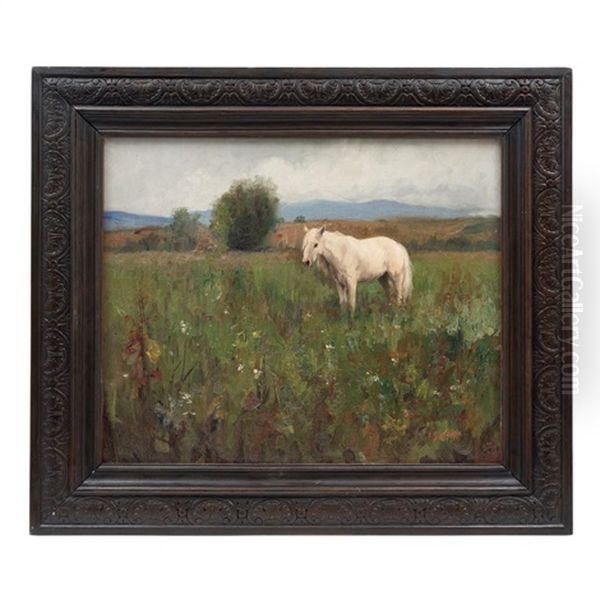 Caballo Blanco En Campo Abierto Oil Painting by German Gedovius