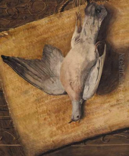 Still Life With Dove by Eileen Frances Ayrton