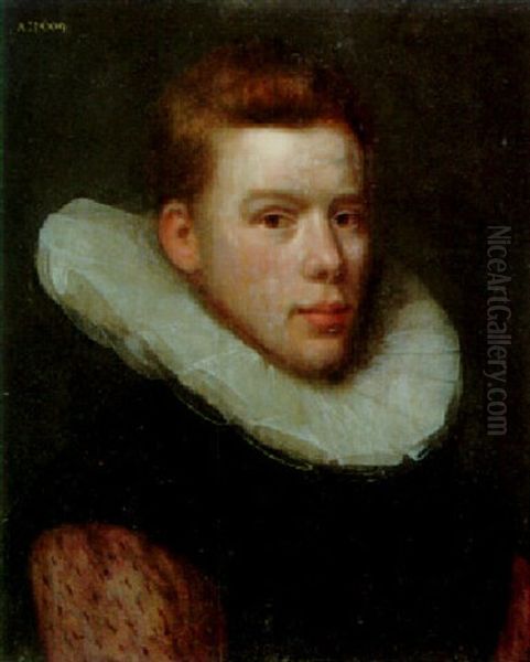 Portrait Of A Gentleman, Bust Length, In A Black Doublet Oil Painting by Gortzius Geldorp