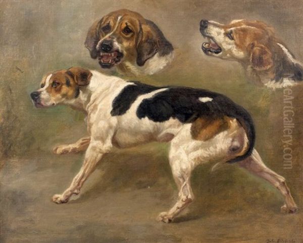 Etude De Chiens (study) Oil Painting by Jules Bertrand Gelibert