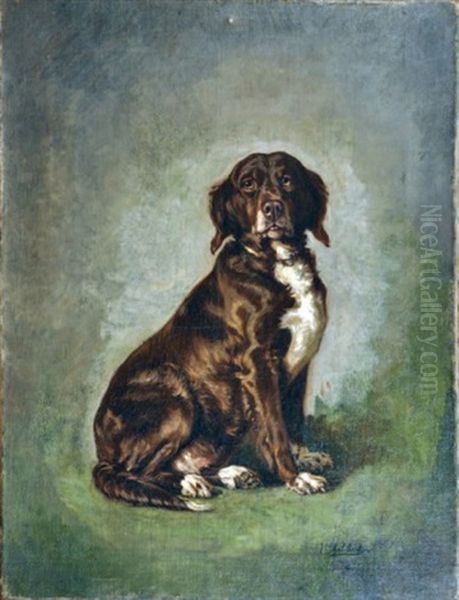 Portrait De Chienne Du Comte Grefulle (study) Oil Painting by Jules Bertrand Gelibert